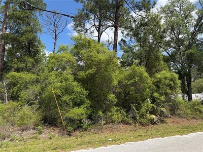 MARYLAND STREET LOT 25, Paisley, FL, 32767