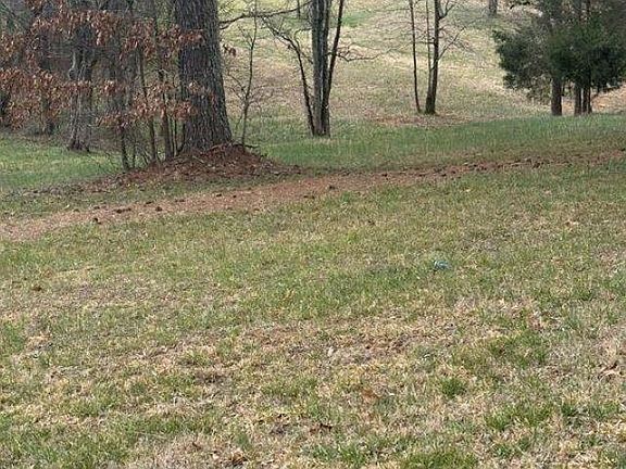 4th image of 318 Cox Rd