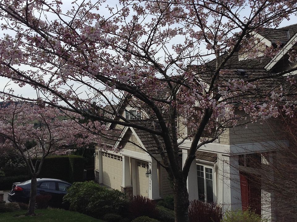 1st image of 5865 153rd Ave SE
