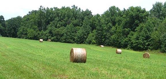 4th image of 1798 W County Road 1000 S