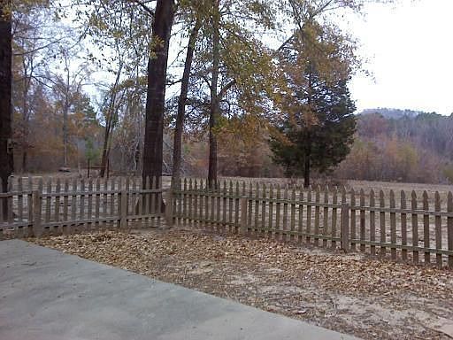 back yard looking to back of land