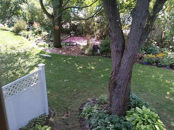 yard view from master