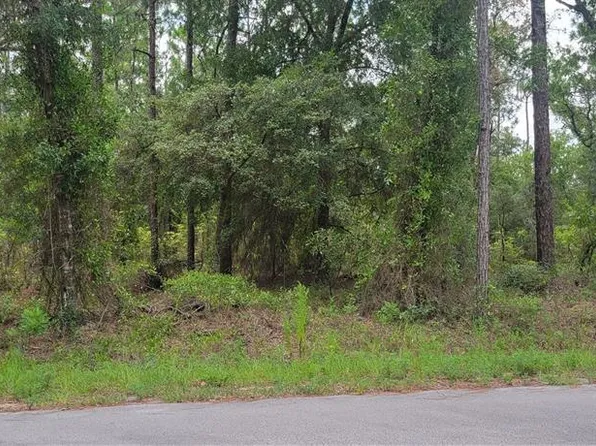 0 NW CHESTNUT AVENUE LOT 44, DUNNELLON, FL 34431