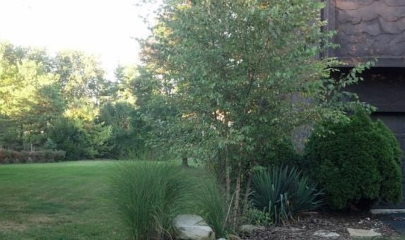 4th image of 7856 Sutcliff Ct