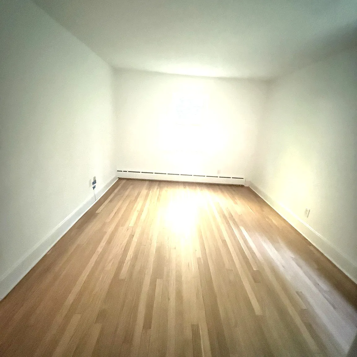 3 bed, 1203 sqft, $3,700 — Photo 4