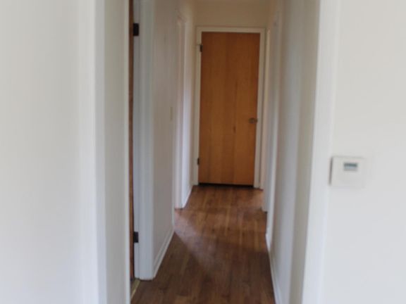 Hallway from Living Room to bedrooms & Bath- linen closet at the end of the hall