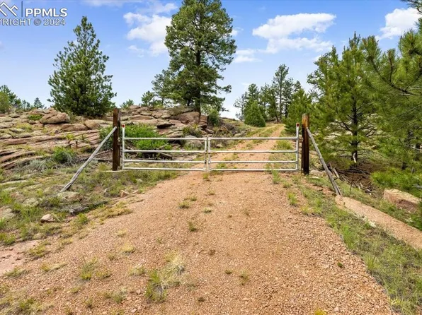 135 Irwin Dr, Florissant, CO 80816