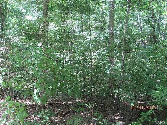 4th image of 109 Lead Creek Valley