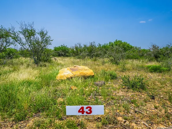 236 Frio Estates Drive LOT 43, Moore, TX 78057