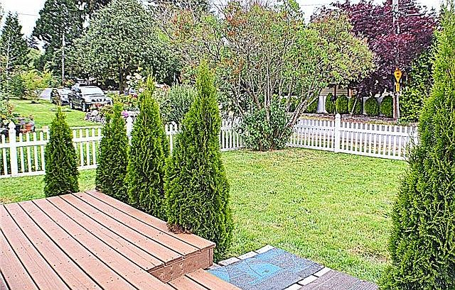 1st image of 1303 N Cambrian Ave