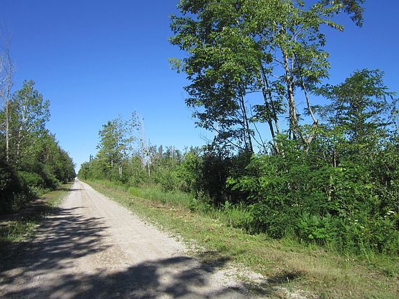 2nd image of Black Bear Hwy