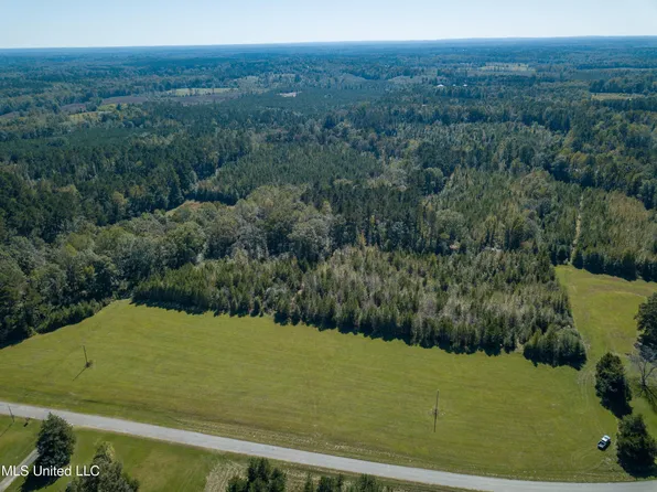 Pine Bluff Rd, Decatur, MS 39327