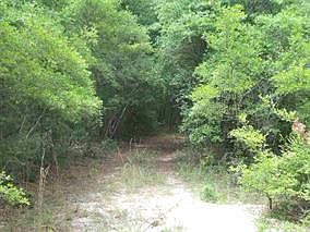4th image of Lot 81 Coastal Highway