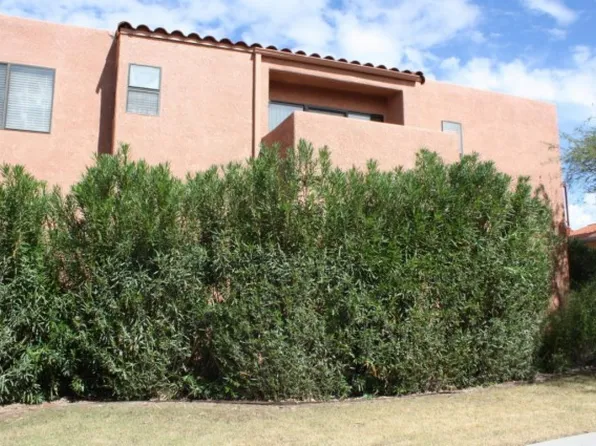 5051 N Sabino Canyon Rd, Tucson, AZ 85750