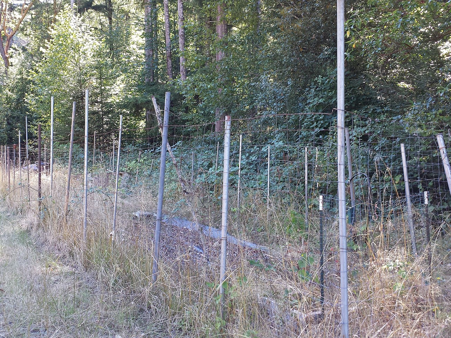 1993 Hancock Mountain Rd, Elkton, OR 97436 Zillow