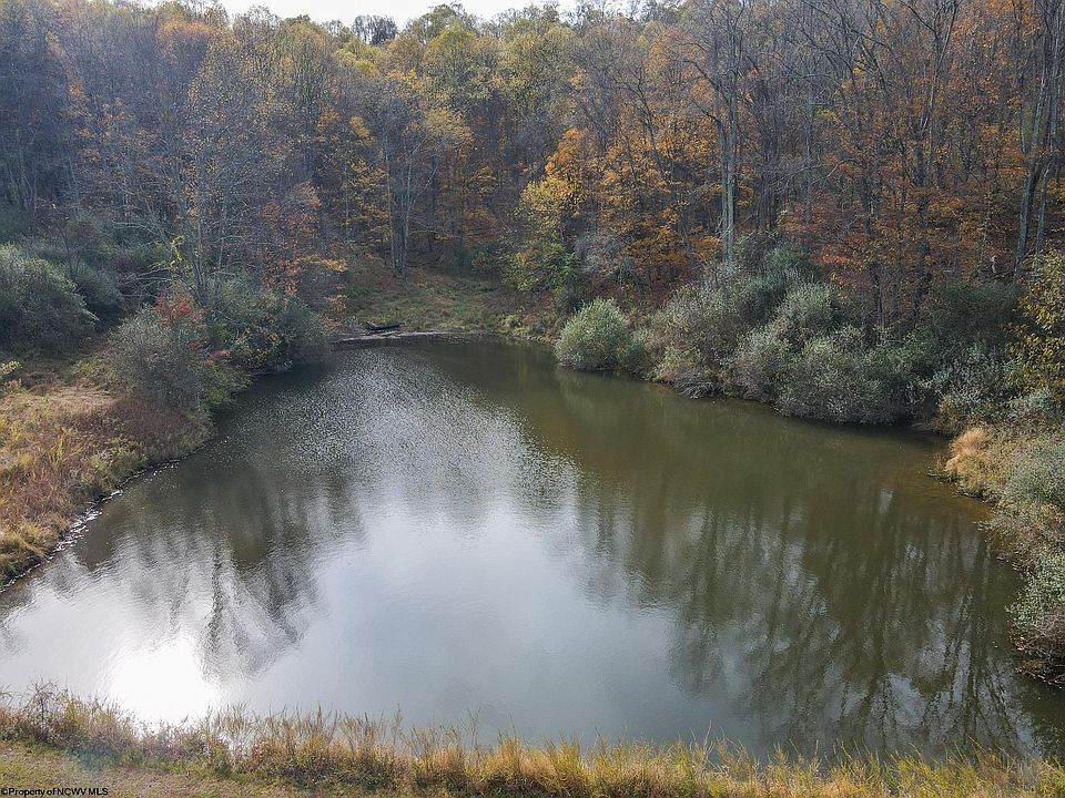 40th image of this home