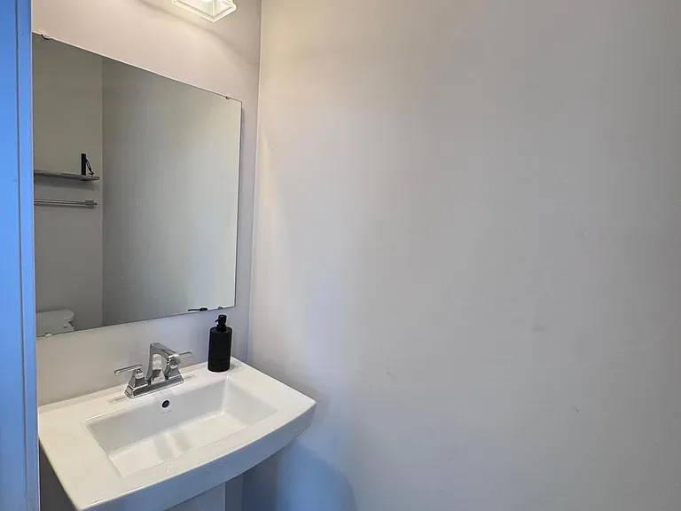 118 Twinleaf Way — Photo 38