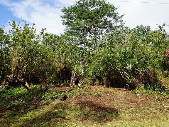 5th image of 39th Ave Lot 20