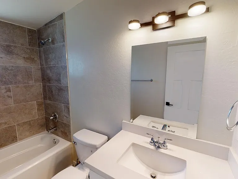 1011 E Amelia Ave — Photo 20