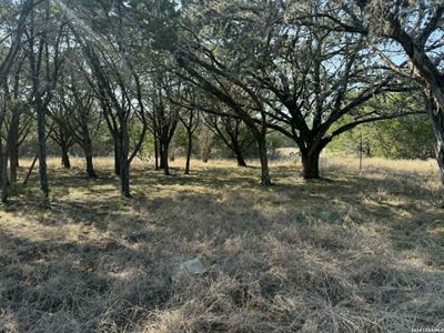 202 itll do LOT 3, Pipe Creek, TX, 78063