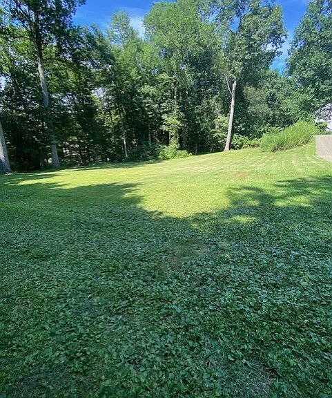 129 E Haddam Colchester Tpke — Photo 17