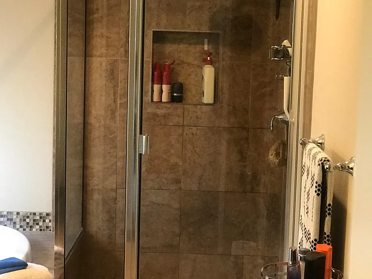 Master bath, shower