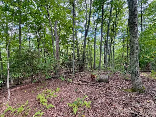 Galax Ln #45, Banner Elk, NC 28604