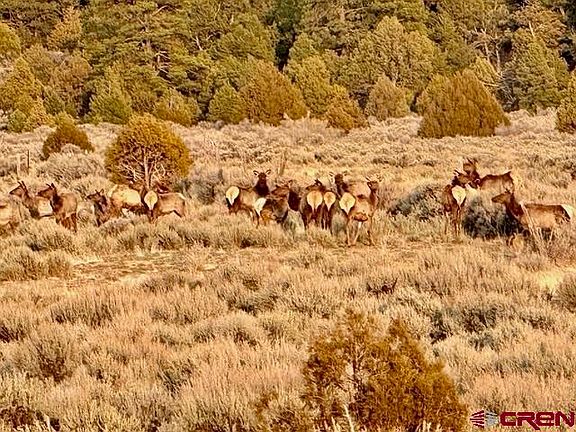 5th image of Highway 96 & 112 Highway #Wilderness 238