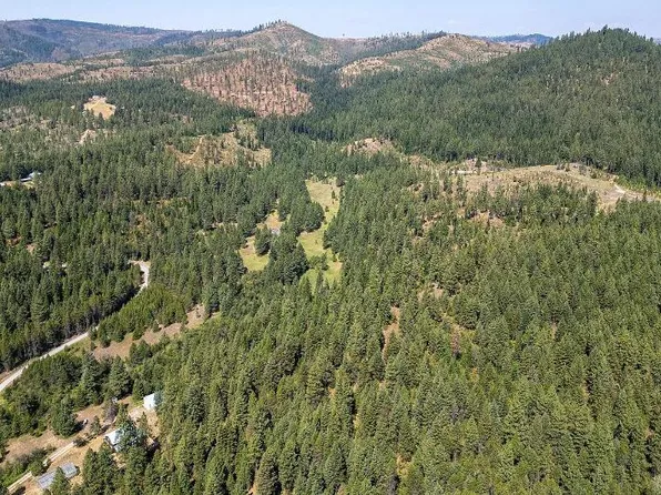 Nka Bear Ridge Way, Springdale, WA 99173