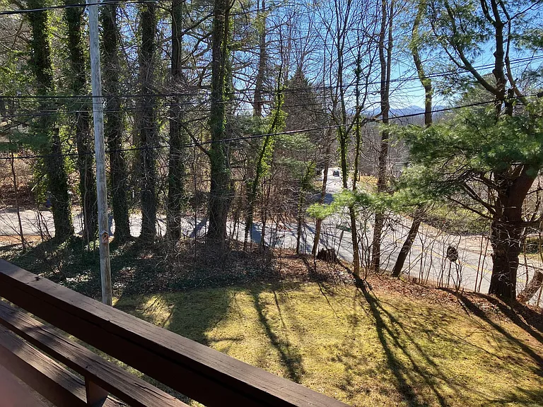 217 Bear Creek Rd — Photo 18