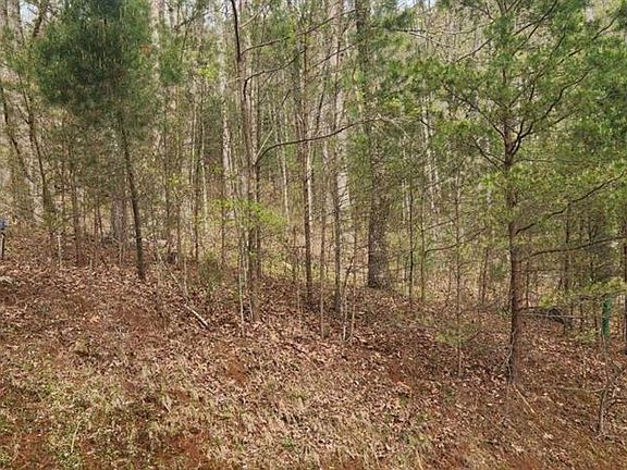 2nd image of 0 Yellow Trillium Lot 13