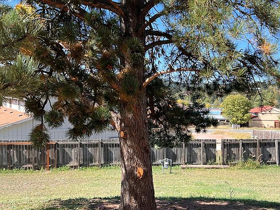 Great shade tree outside your patio to sit under and enjoy the outdoors