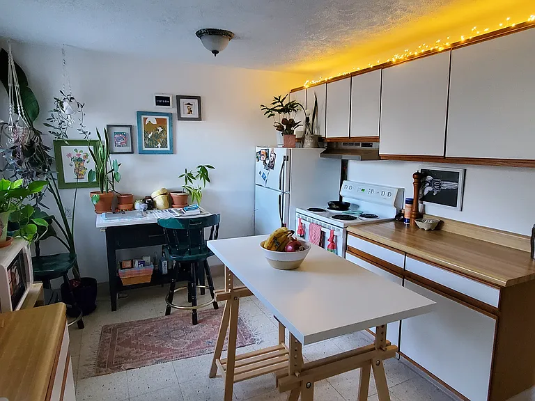 403 Pauline Blvd #2 — Photo 4