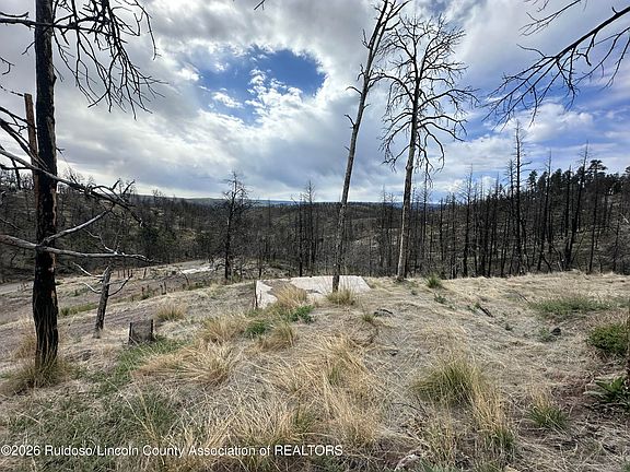 4th image of 121 Tall Pines Rd