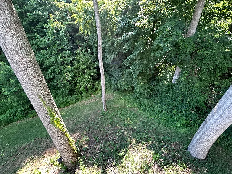 4540 Pebble Lake Dr — Photo 77