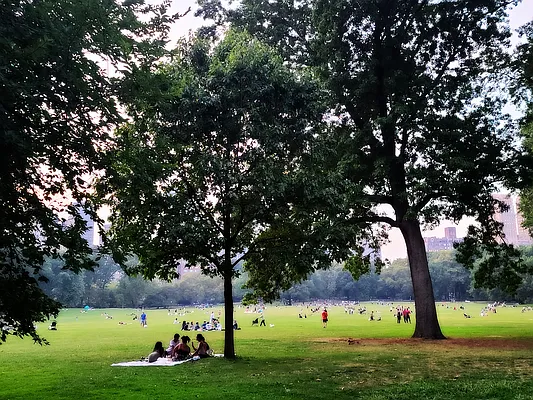 Rented by Bond New York | media 7