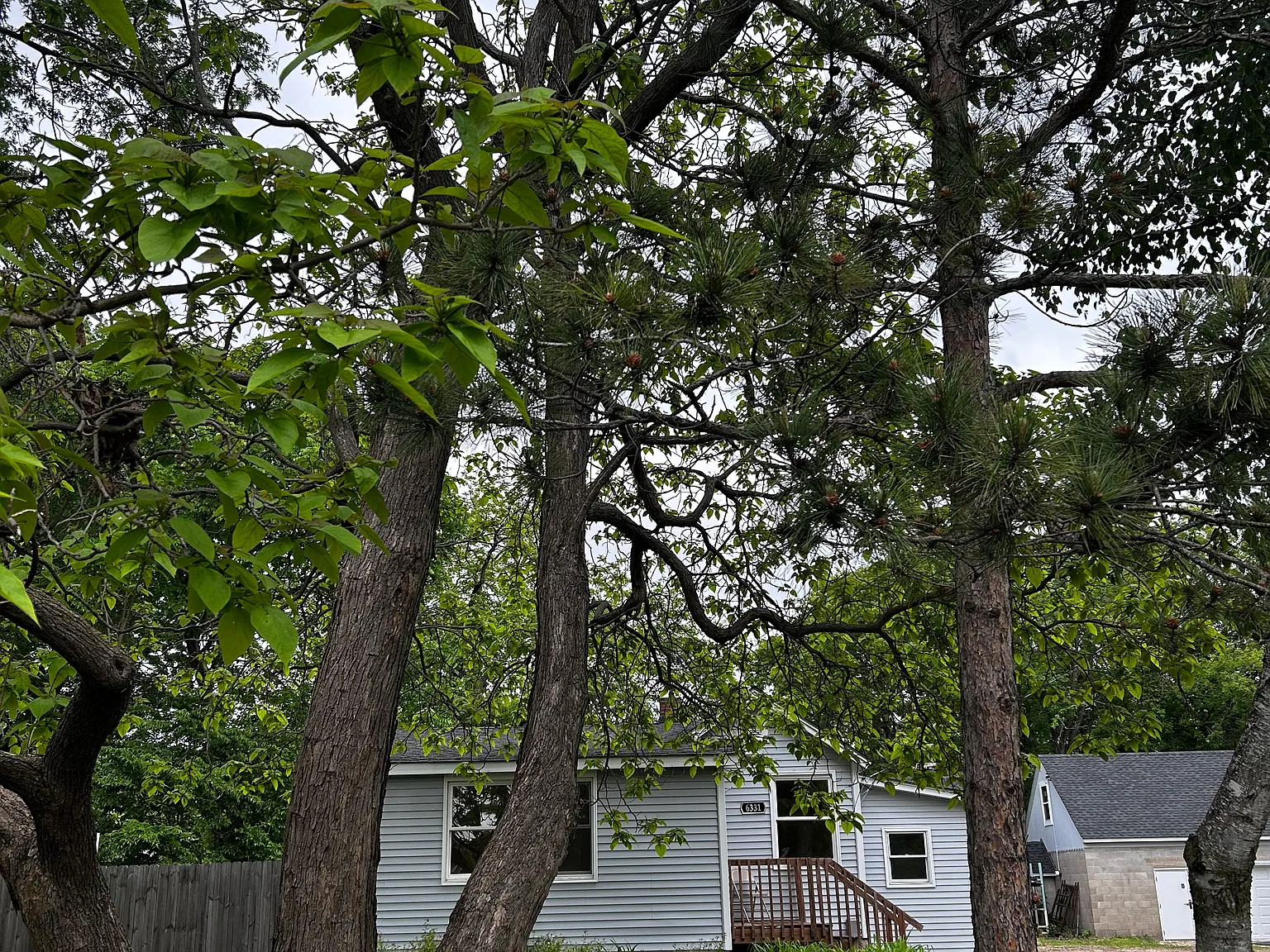 1 bed, $1,800 — Photo 4