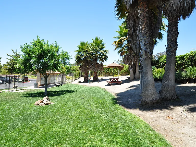 The Villas at Camino Bernardo — Photo 6