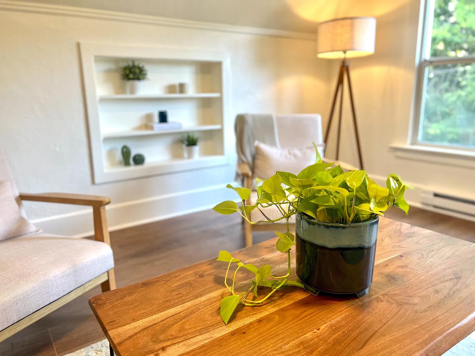 1 bed, 860 sqft, $1,600 — Photo 3