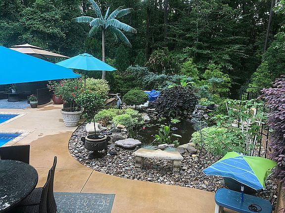 Koi pond