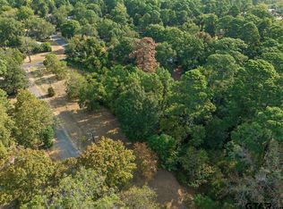 LOT 1R Corrine Dr, Rusk, TX 75785