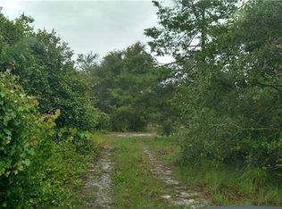 127 Naranja Rd, Osteen, FL 32764