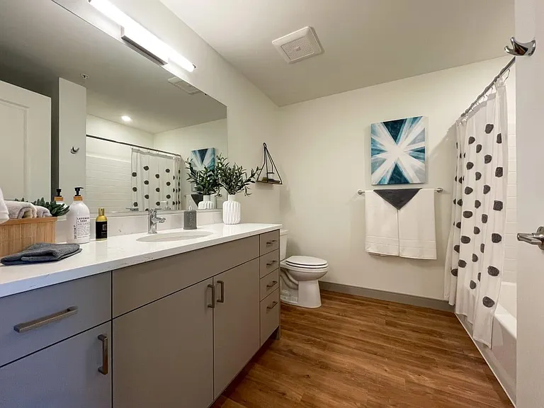 Corporate Suite
