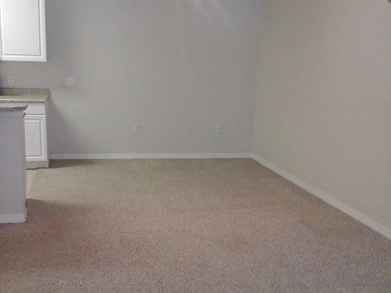 1004 Hemingway Cir — Photo 21