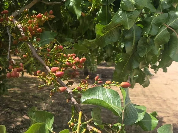 0 Santa Fe Dr, Chowchilla, CA 93610