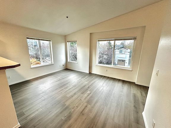 Many Windows in Living Room