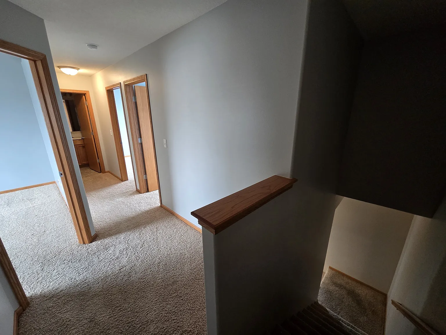 147 Alydar Drive -OP - 1 — Photo 3