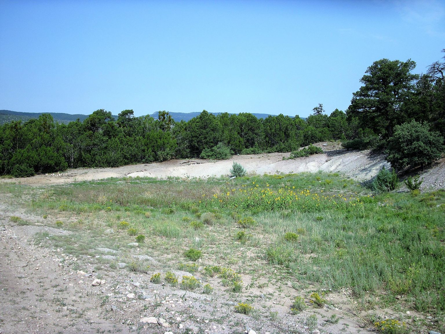 285 La Questa Rd A008, Torreon, NM 87061 Zillow