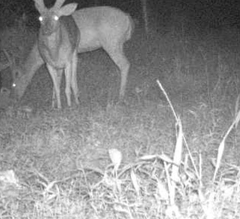 63rd image of this home