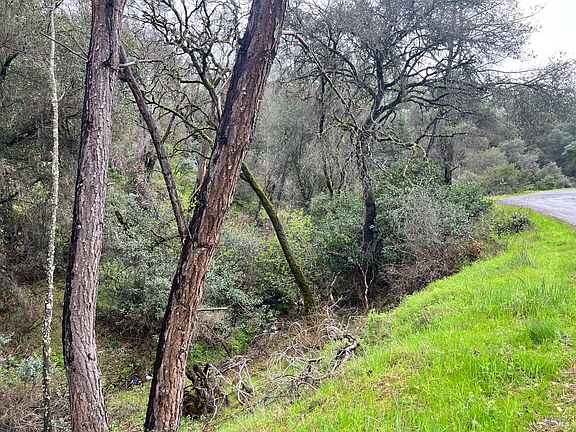 4th image of 12215 Mountain View Drive